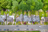 59 Westland Drive, Jordanhill, Glasgow, G14 9PE - Picture #38
