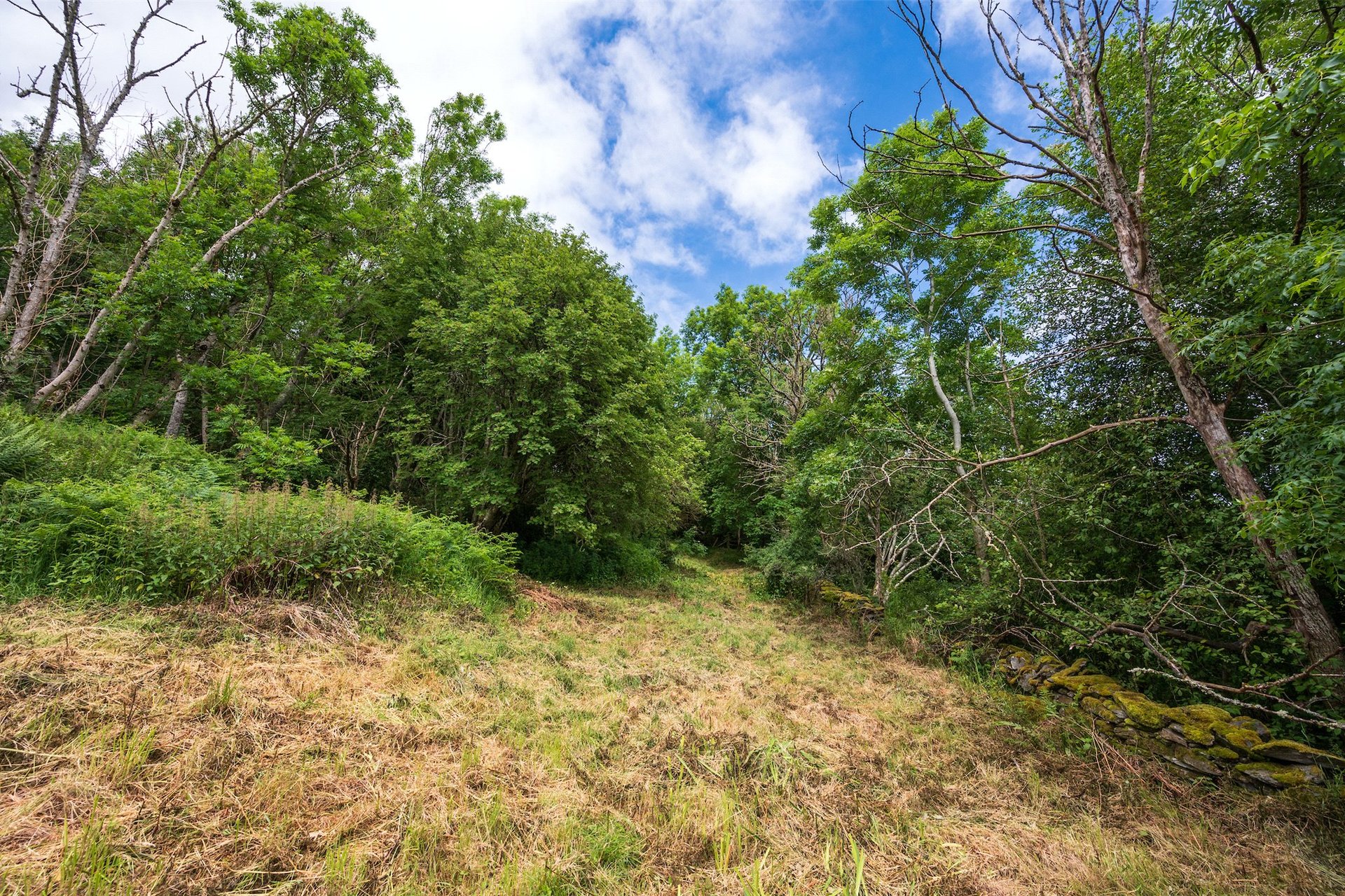 Plot At Dull, Dull, Aberfeldy, PH15 2JQ - Picture #6