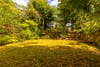 19/4 Mentone Terrace, Edinburgh, Midlothian, EH9 2DG - Picture #28