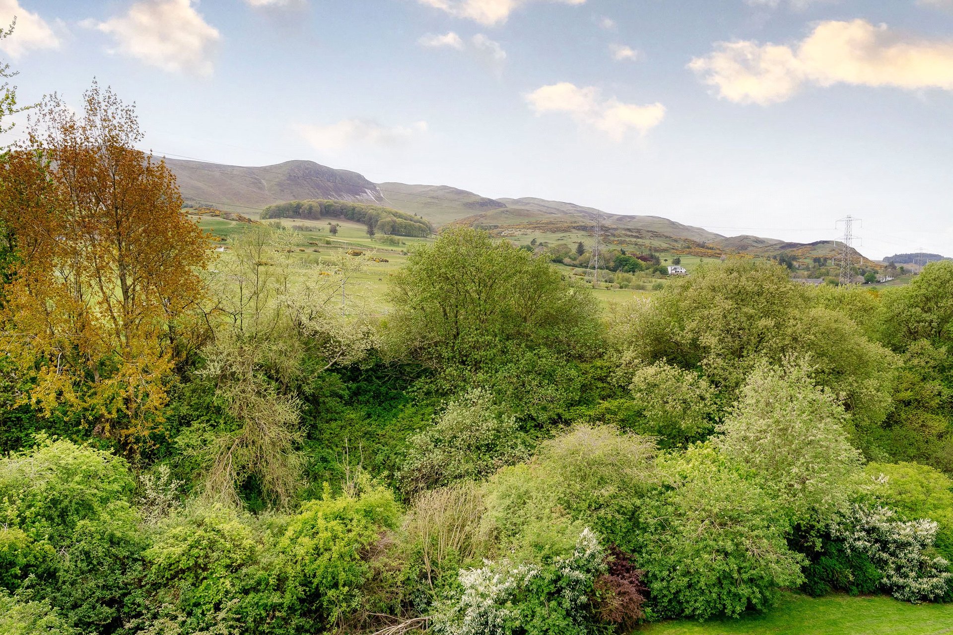Flat 3, 1 Swanston Drive, Swanston, Edinburgh, EH10 7BL - Picture #9