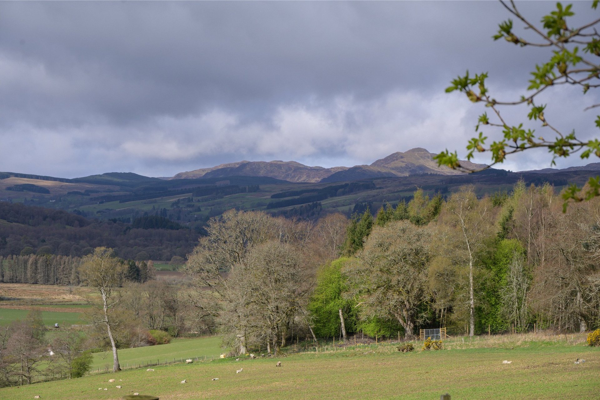 Eastertyre, Ballinluig, Pitlochry, PH9 0LN - Picture #45