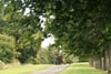 Plot 4.4, Clathymore Drive, Clathymore, Tibbermore, Perth, PH1 1NW - Picture #9