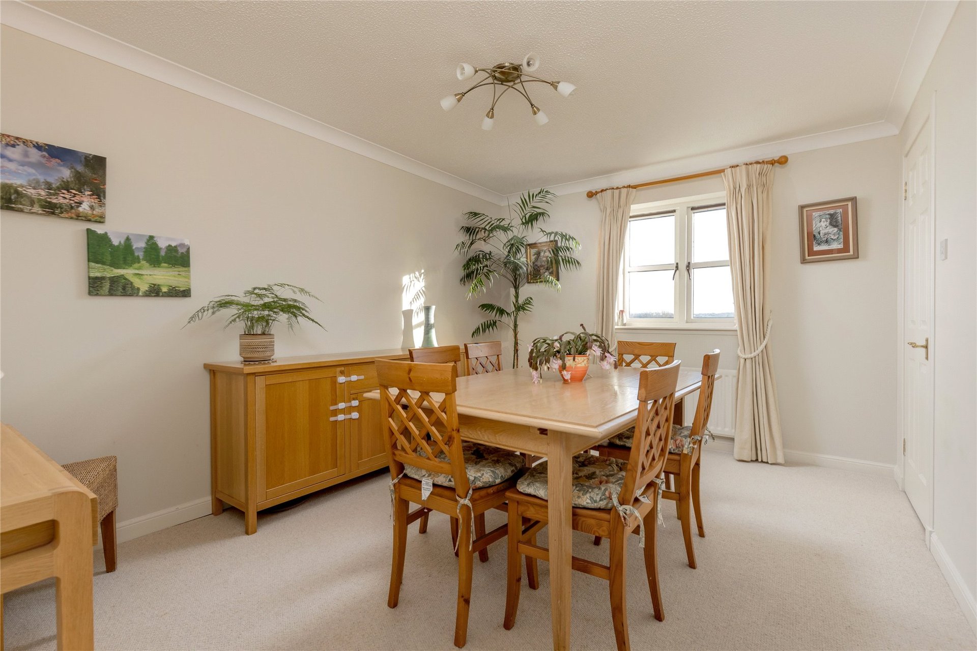 19/9 South Gray Street, Newington, Edinburgh, EH9 1TE - Picture #5