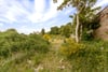 The Walled Garden Development Site, Tealing, Dundee, DD4 0QZ - Picture #7