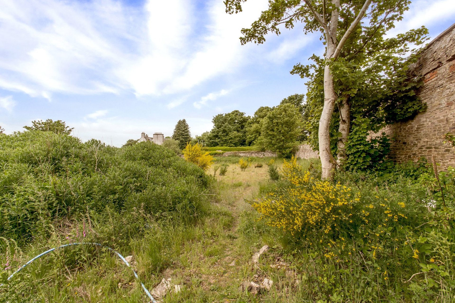 The Walled Garden Development Site, Tealing, Dundee, DD4 0QZ - Picture #7