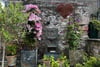 Carmel House, 6 Castle Street, Norham, Northumberland, TD15 2LQ - Picture #18