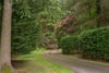 House On The Hill, Glen Road, Dunblane, Stirlingshire, FK15 0HR - Picture #24