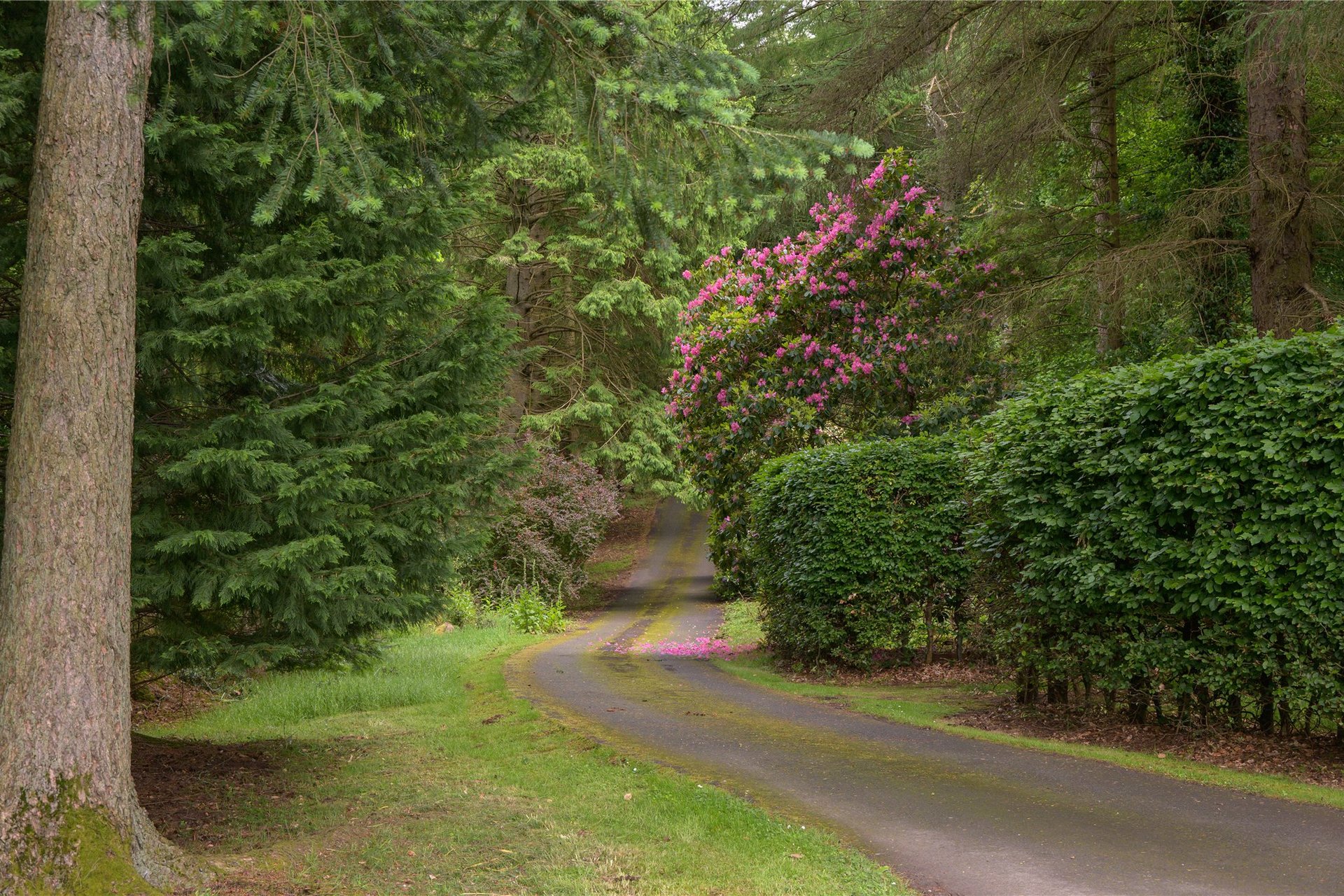 House On The Hill, Glen Road, Dunblane, Stirlingshire, FK15 0HR - Picture #24