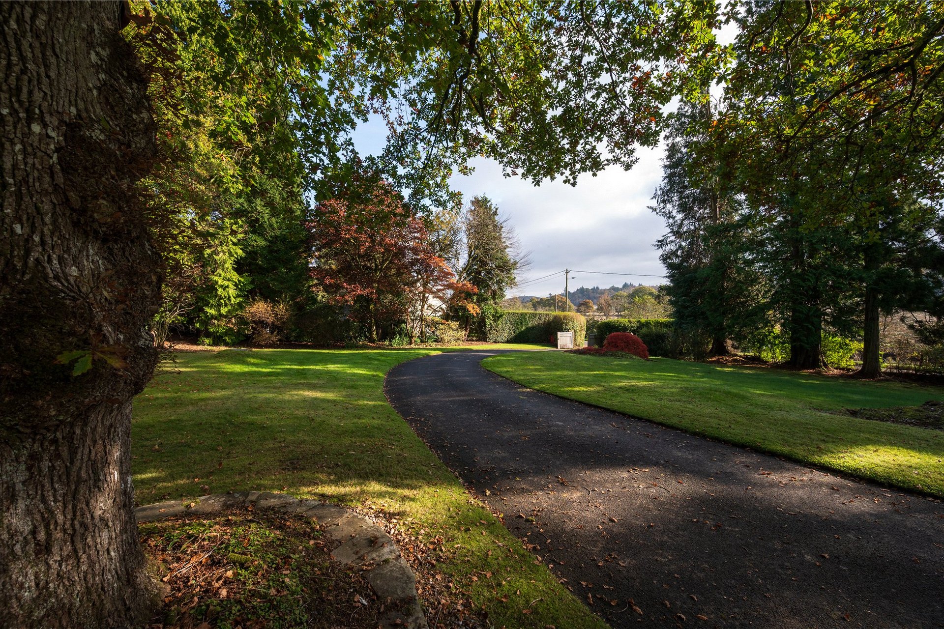 Ardchoile, Lochard Road, Aberfoyle, Stirling, Stirlingshire, FK8 3TD - Picture #33