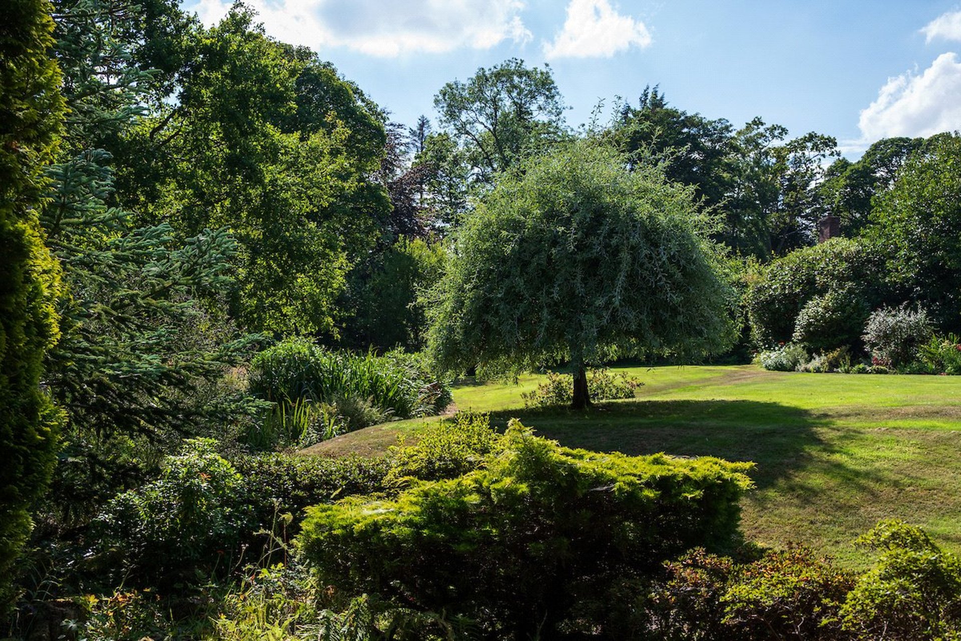 Broadwood, Edinburgh Road, Gifford, Haddington, EH41 4JE - Picture #34