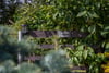 Linden House, Balbeggie, Perth, Perthshire, PH2 6HJ - Picture #27