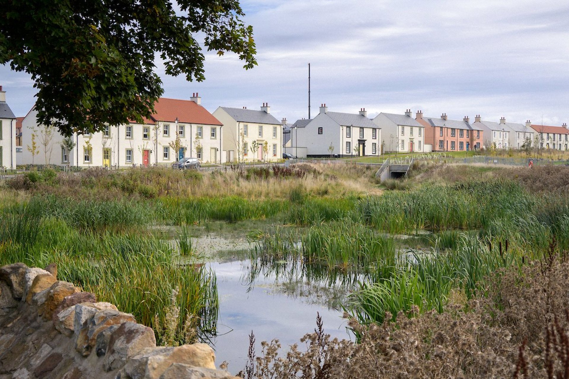 1 Longniddry Farm Road, Longniddry, East Lothian, EH32 0FX - Picture #4