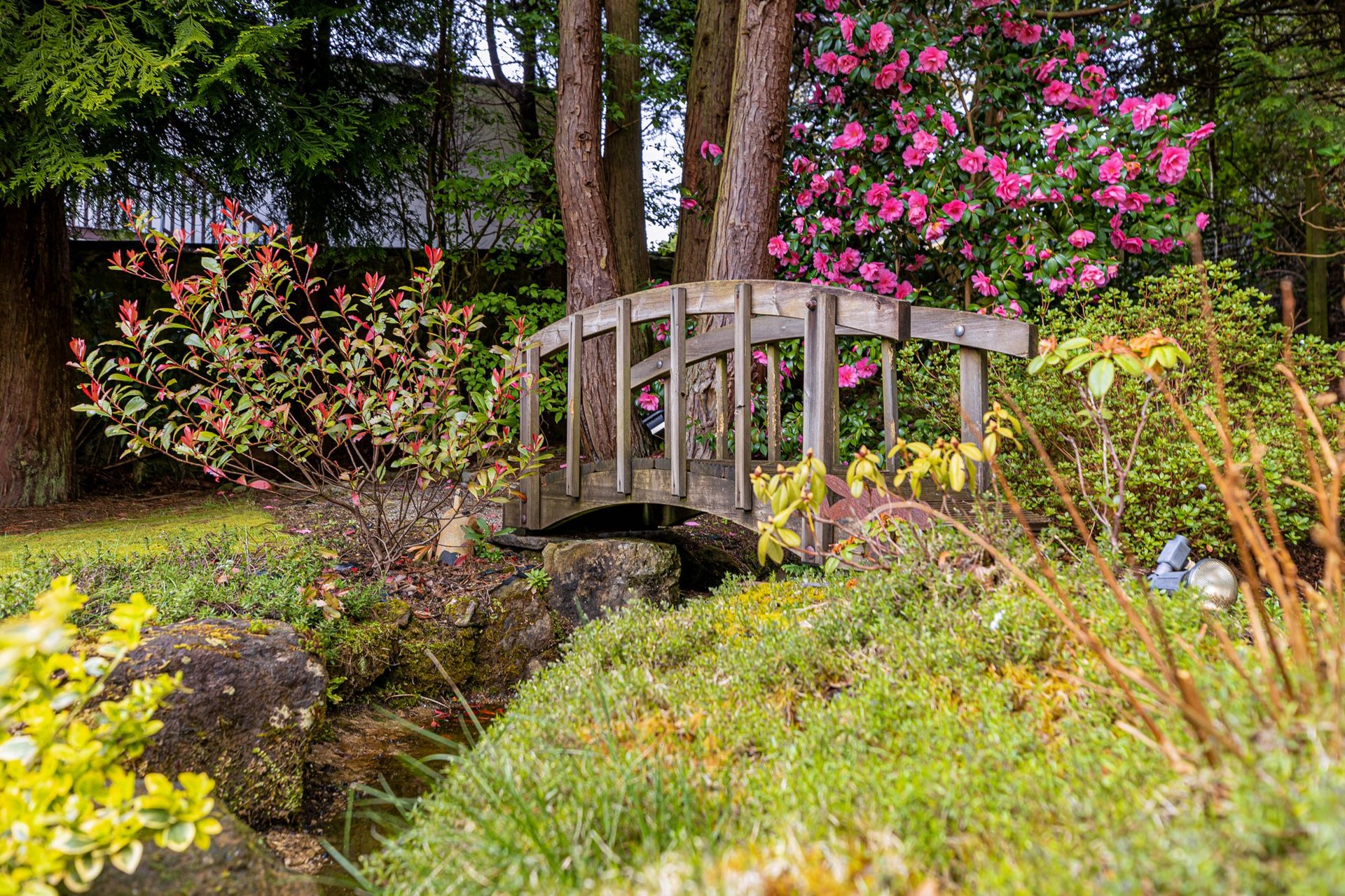 1 Woodlands Grove, Milngavie, G62 8PJ - Picture #34