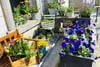 45 St Leonards Hill, Queensferry Road, Dunfermline, Fife, KY11 3AH - Picture #14