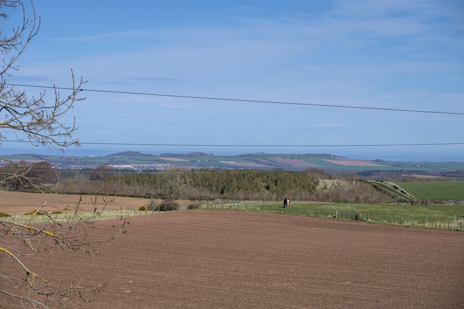 Mint Cottage, 1 Longnewton Cottages, Near Gifford, Haddington, EH41 4JW - Picture #33
