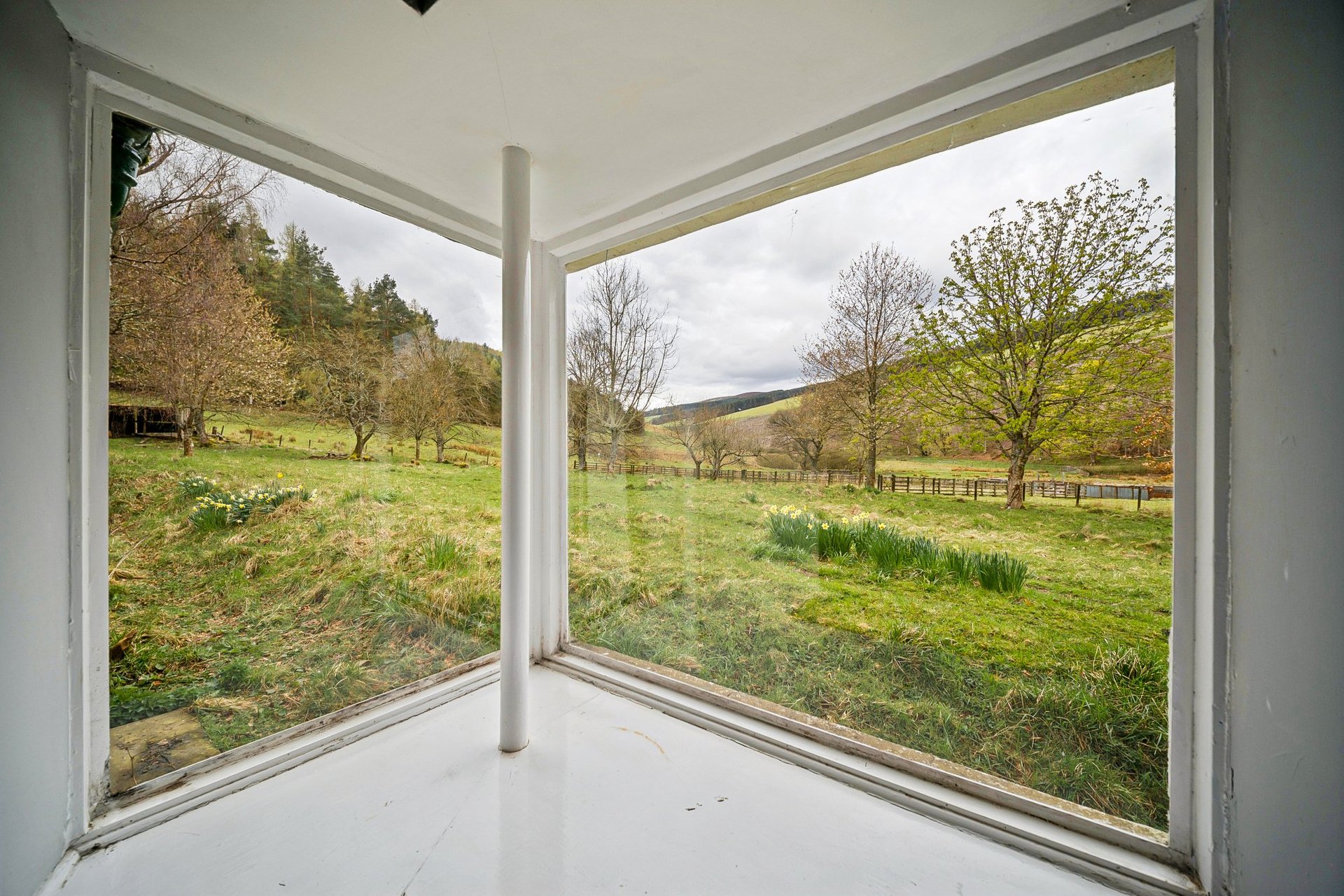 Valley Cottage, Innerleithen, Scottish Borders, EH44 6PX - Picture #6