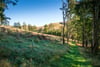 The Ley, Innerleithen, Scottish Borders, EH44 6NL - Picture #72
