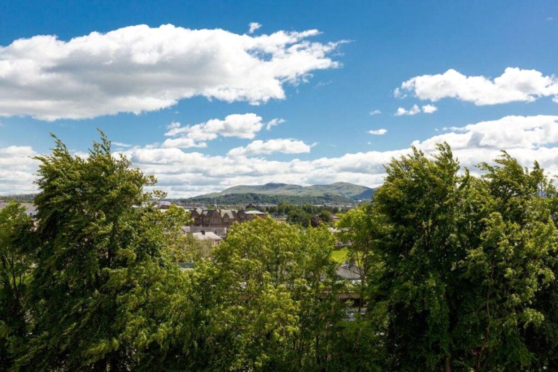 8 Murrayfield Gardens, Edinburgh, Midlothian, EH12 6DF - Picture #21