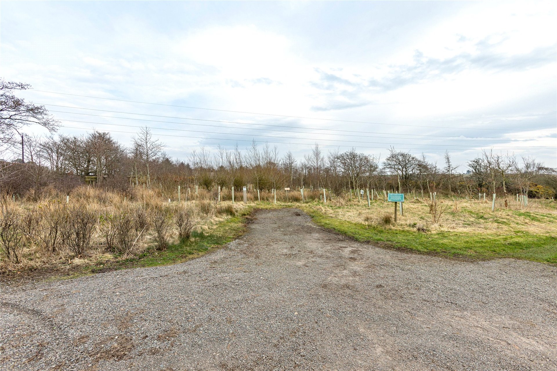 Greycraig Cottage, Kirtlebridge, Lockerbie, Dumfries and Galloway, DG11 3LN - Picture #17