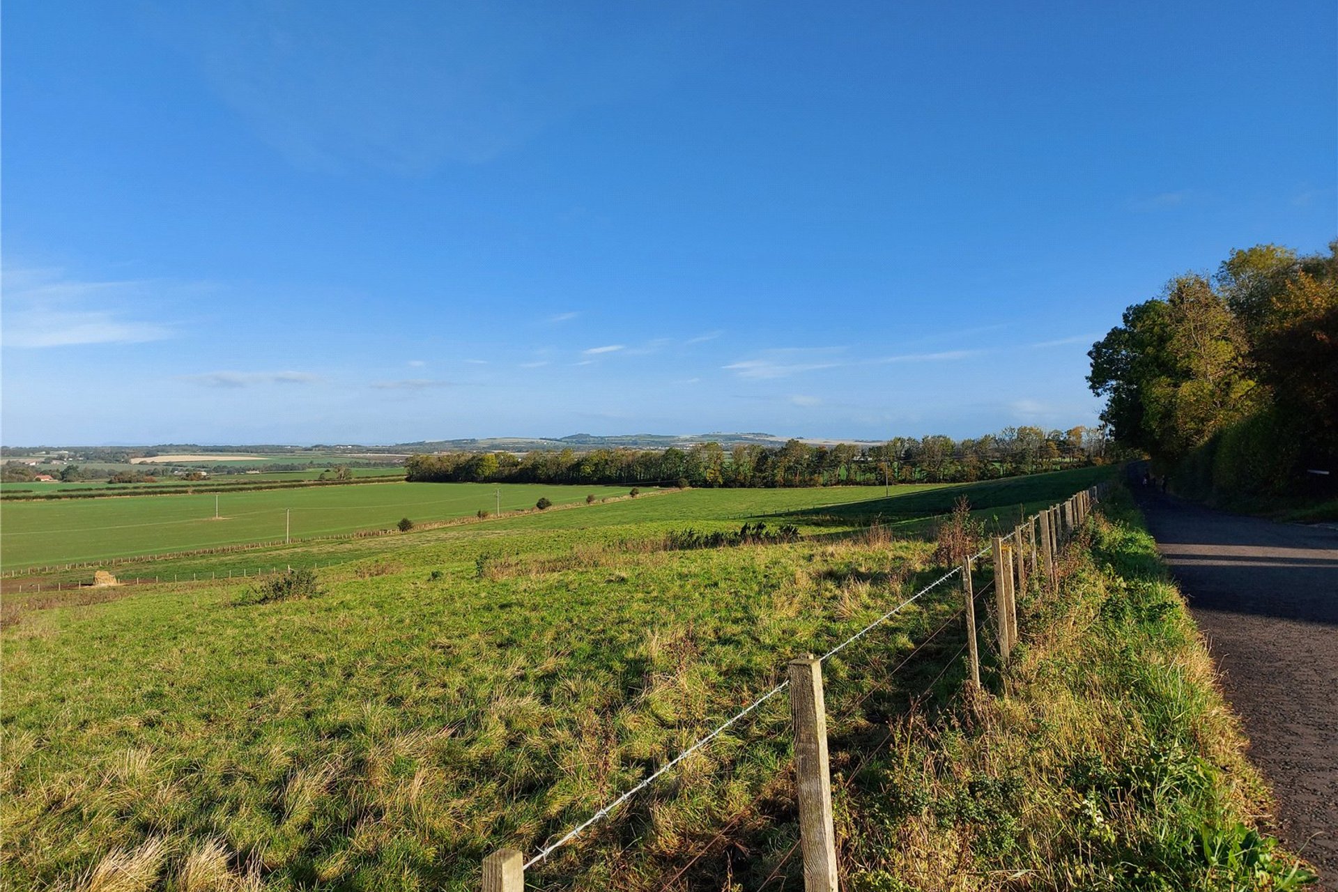 11 Burnet Crescent, Pencaitland, Tranent, East Lothian, EH34 5BZ - Picture #2