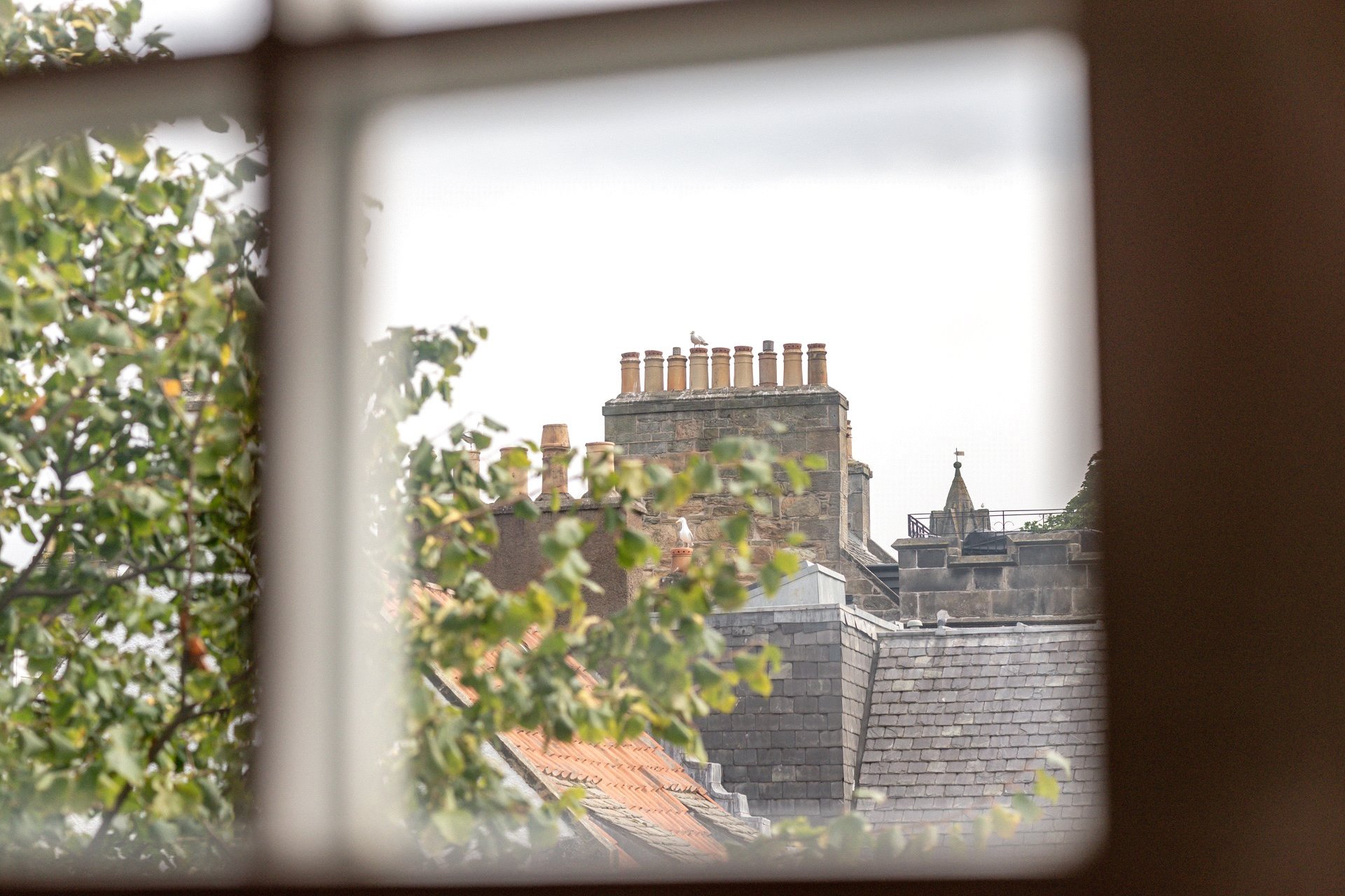 8 Abbey Street, St. Andrews, Fife, KY16 9LA - Picture #6