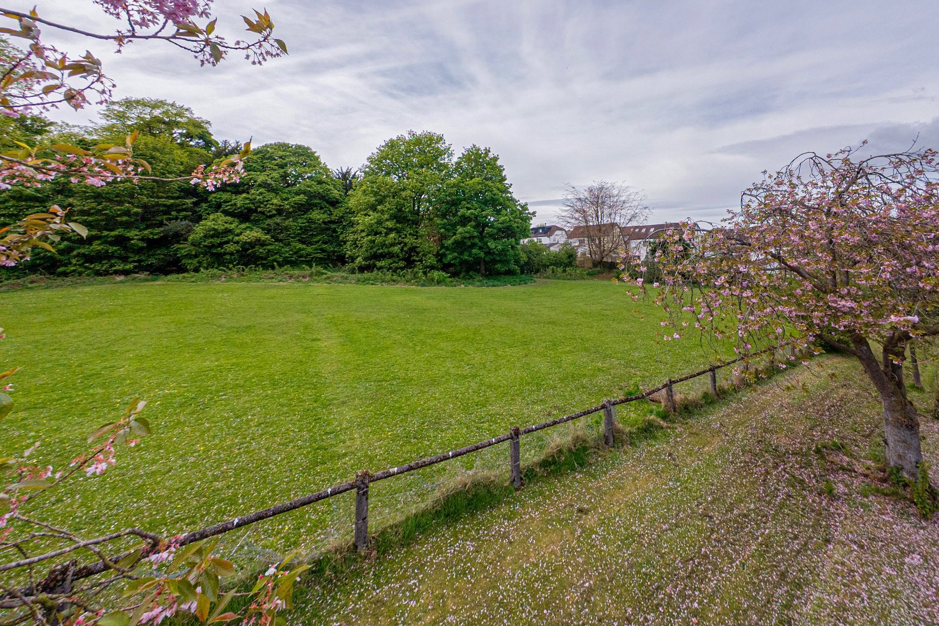 37 Burnbrae Avenue, Bearsden, G61 3ET - Picture #36