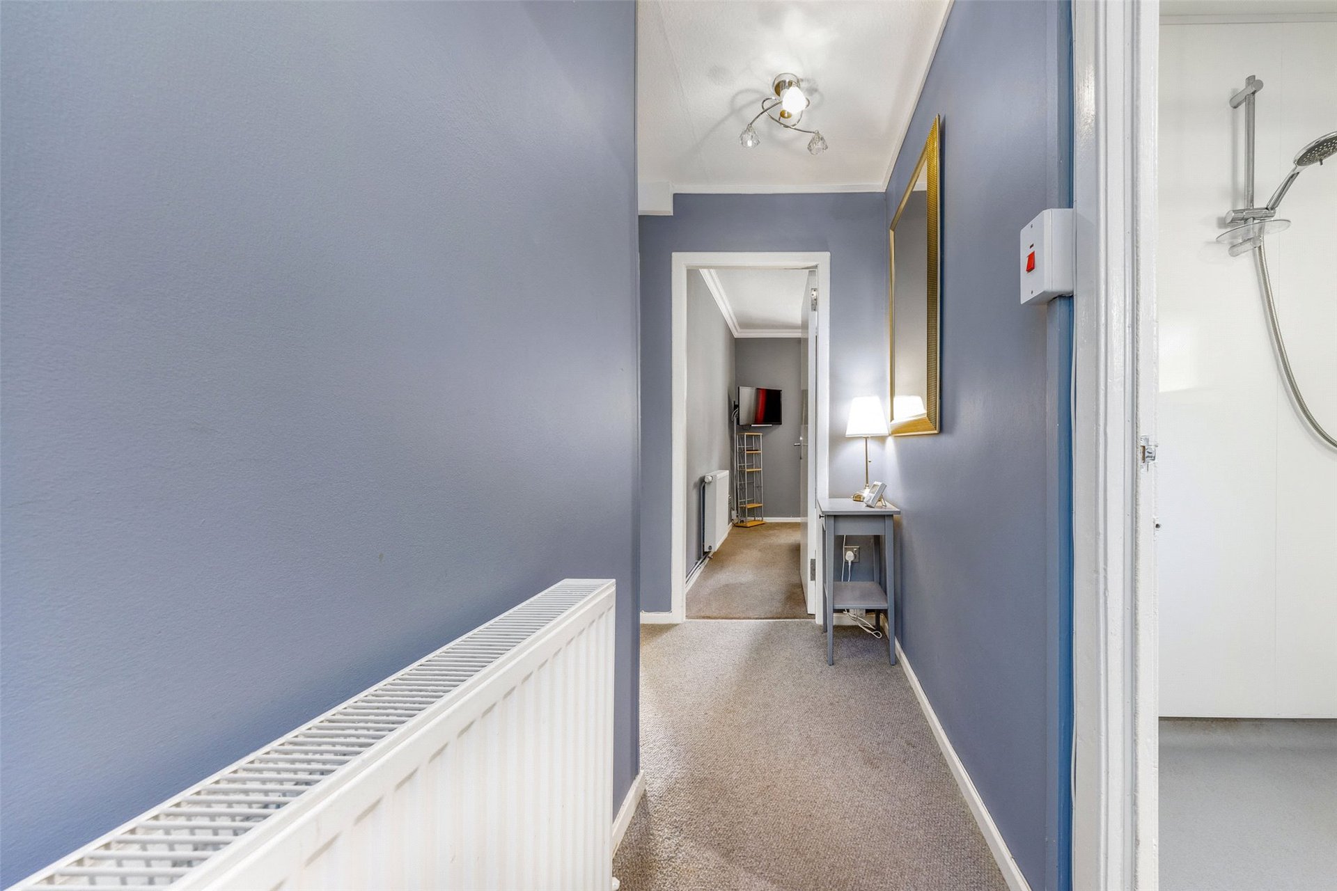 Main Door, 9 Prince Albert Road, Dowanhill, Glasgow, G12 9JR - Picture #18