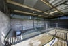 Crossridge Holding, Carmichael, Biggar, South Lanarkshire, ML12 6NG - Picture #33