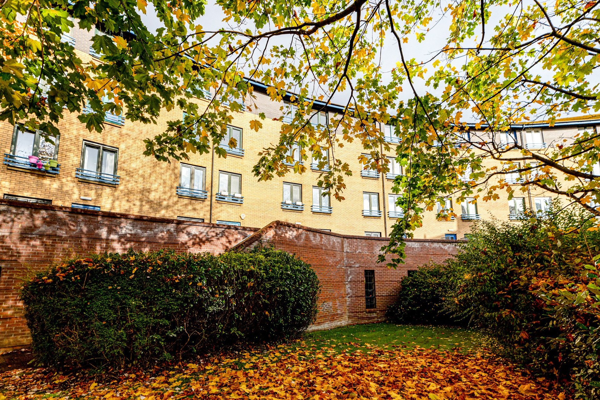 Flat 3/1 The Arc, 19 Turnbull Street, Glasgow Green, Glasgow City, G1 5PR - Picture #21