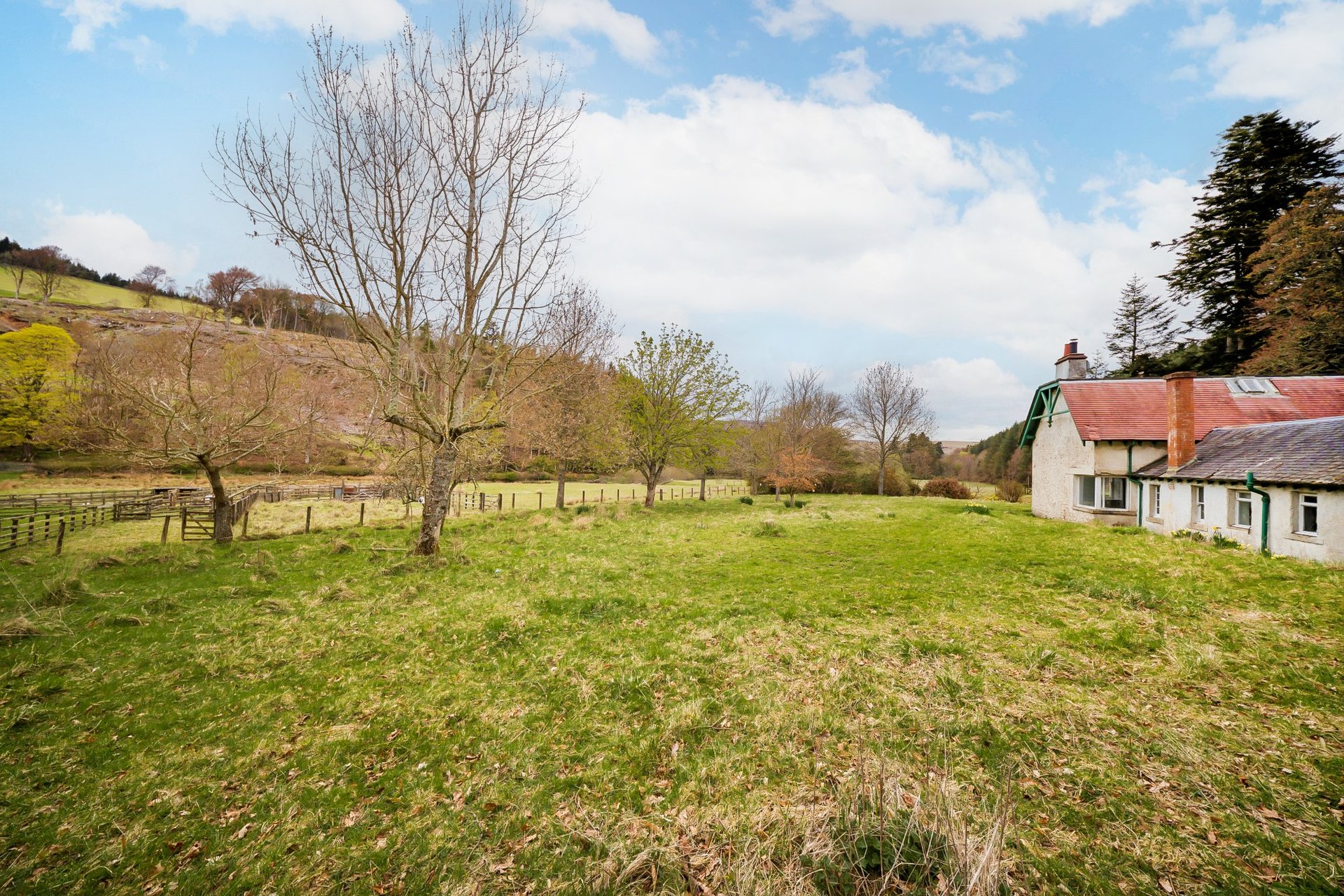 Valley Cottage, Innerleithen, Scottish Borders, EH44 6PX - Picture #22