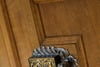 Loganbank House, Milton Bridge, Penicuik, Midlothian, EH26 0NY - Picture #31