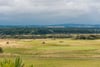 Residential Plot, Nisbet Road, Gullane, East Lothian, EH31 2BQ - Picture #11