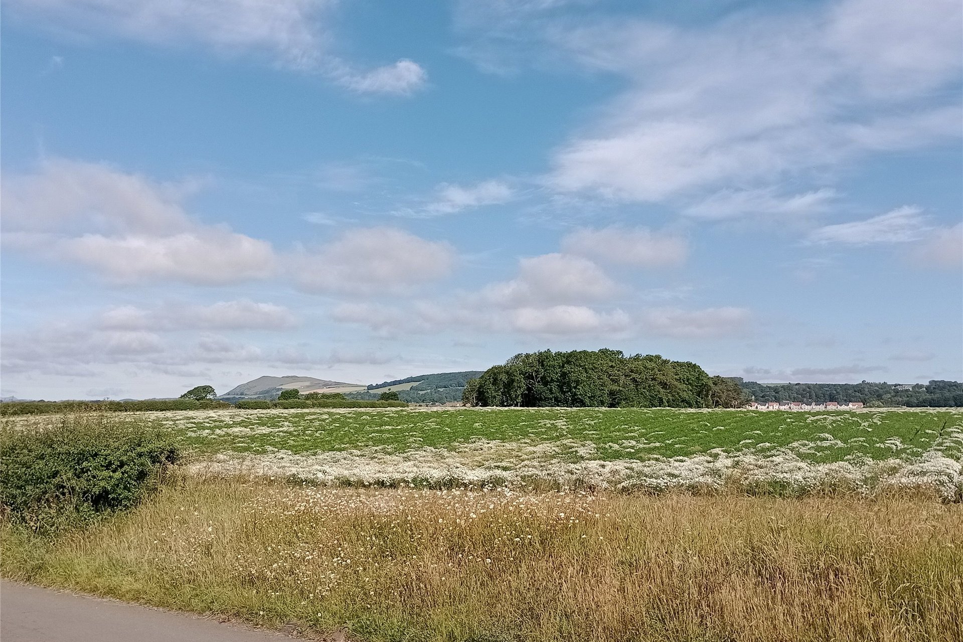 Maroke, Greenbrig Road, Barnyards, Kilconquhar, Leven, KY9 1PA - Picture #4