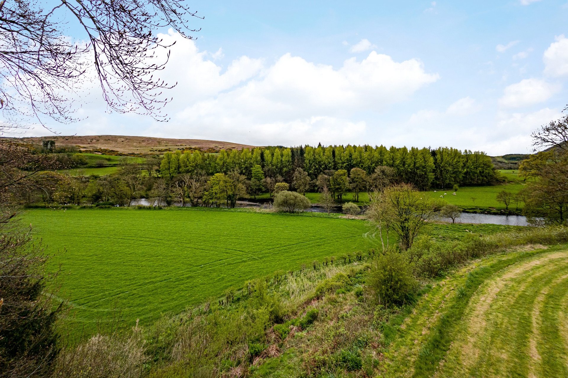 The Manse, 5 Manse Road, Colmonell, Girvan, South Ayrshire, KA26 0SA - Picture #8
