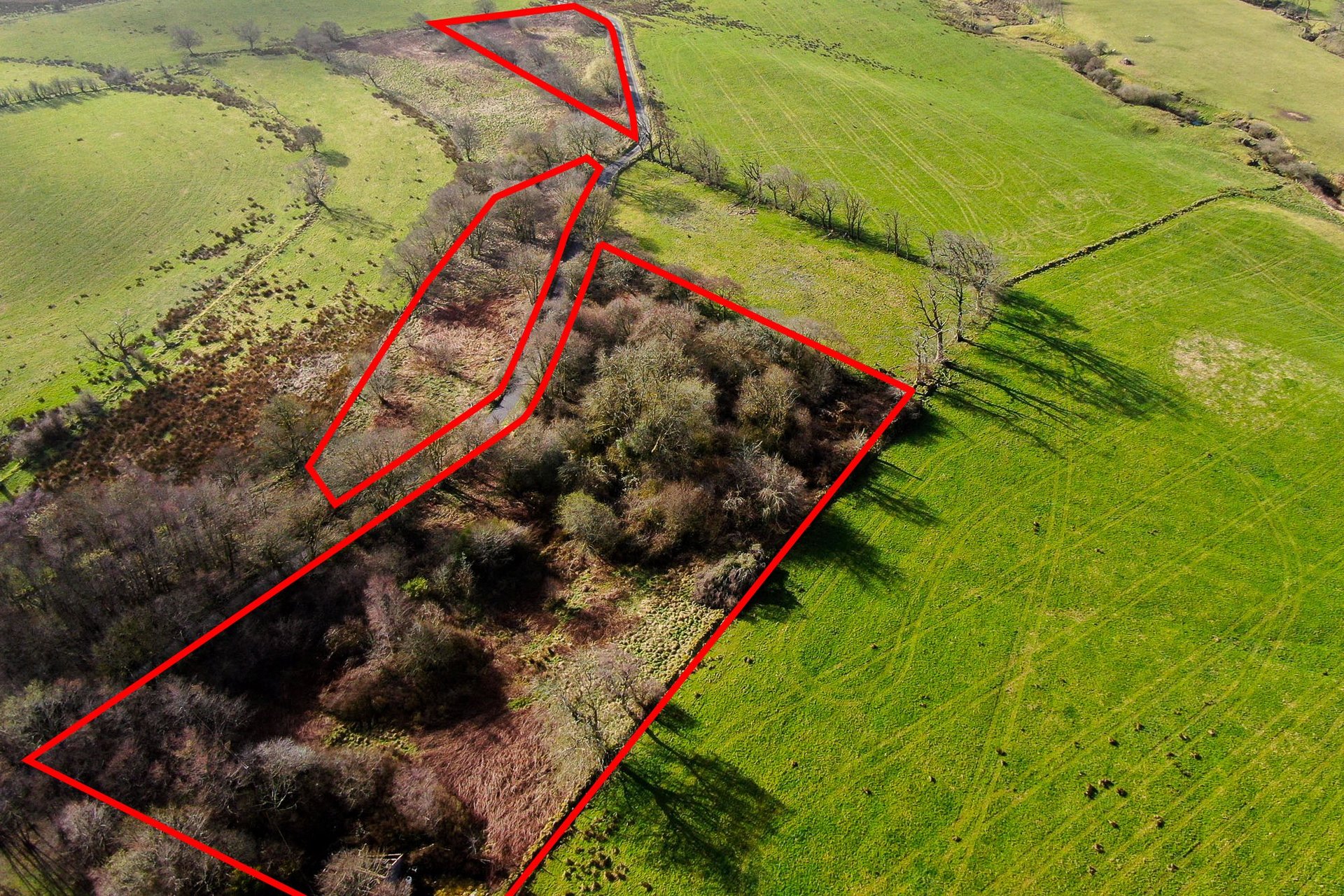 The Lands Of Westfieldhead, Auldhouse, East Kilbride, South Lanarkshire, G75 9DR - Picture #3