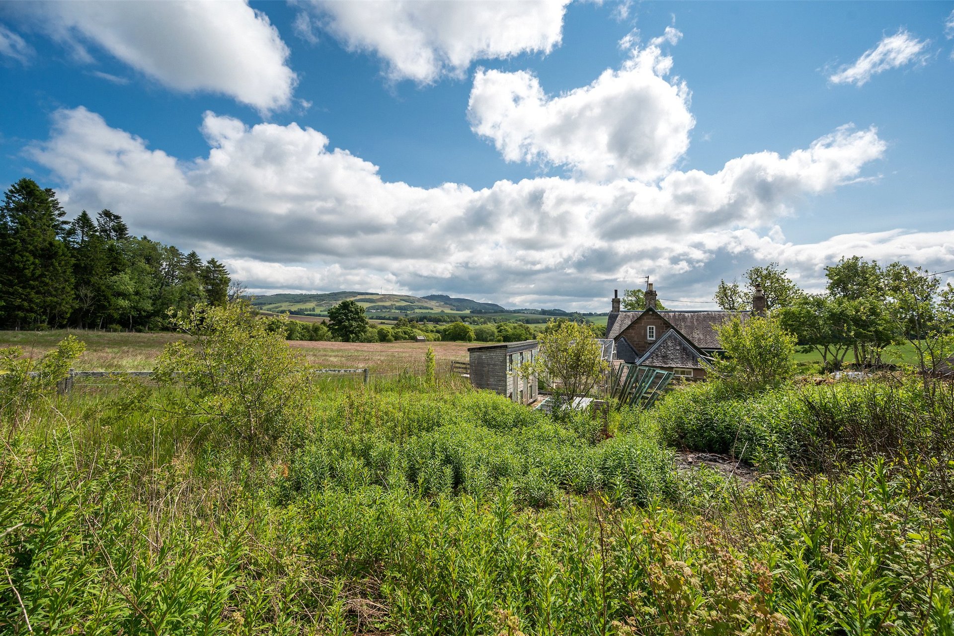 Pitnappie Farmhouse, By Newtyle, Blairgowrie, Angus, PH12 8UR - Picture #16