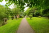 49/6 West Mill Road, Edinburgh, Midlothian, EH13 0NZ - Picture #20