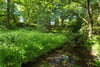 Plot at The Oaks, The Oaks, Moneydie, Luncarty, PH1 3HA - Picture #12