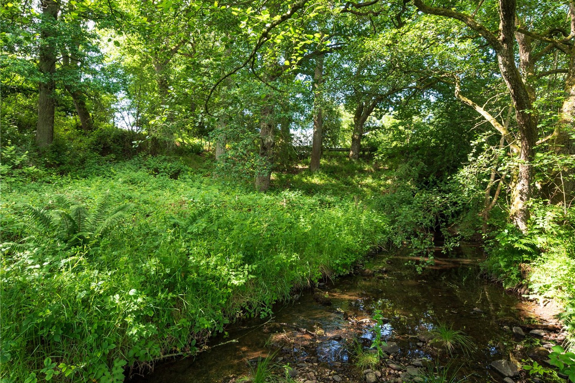 Plot at The Oaks, The Oaks, Moneydie, Luncarty, PH1 3HA - Picture #12
