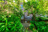 3 Sylvan Place, Marchmont, Edinburgh, EH9 1LH - Picture #23