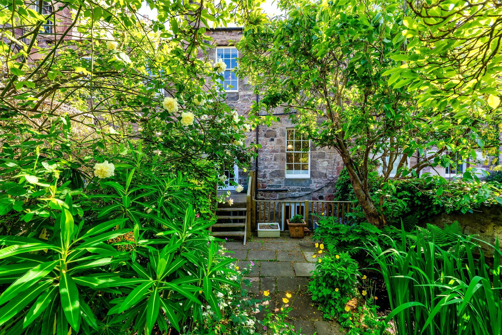 3 Sylvan Place, Marchmont, Edinburgh, EH9 1LH - Picture #23