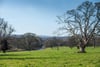 The Old Kitchen, Tyninghame House, Tyninghame, East Lothian, EH42 1XW - Picture #35