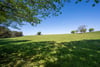 Crossridge Holding, Carmichael, Biggar, South Lanarkshire, ML12 6NG - Picture #24