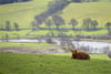 Eastertyre, Ballinluig, Pitlochry, PH9 0LN - Picture #42