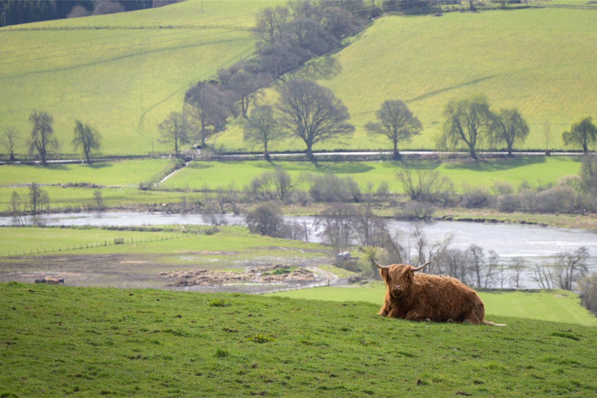 Eastertyre, Ballinluig, Pitlochry, PH9 0LN - Picture #42
