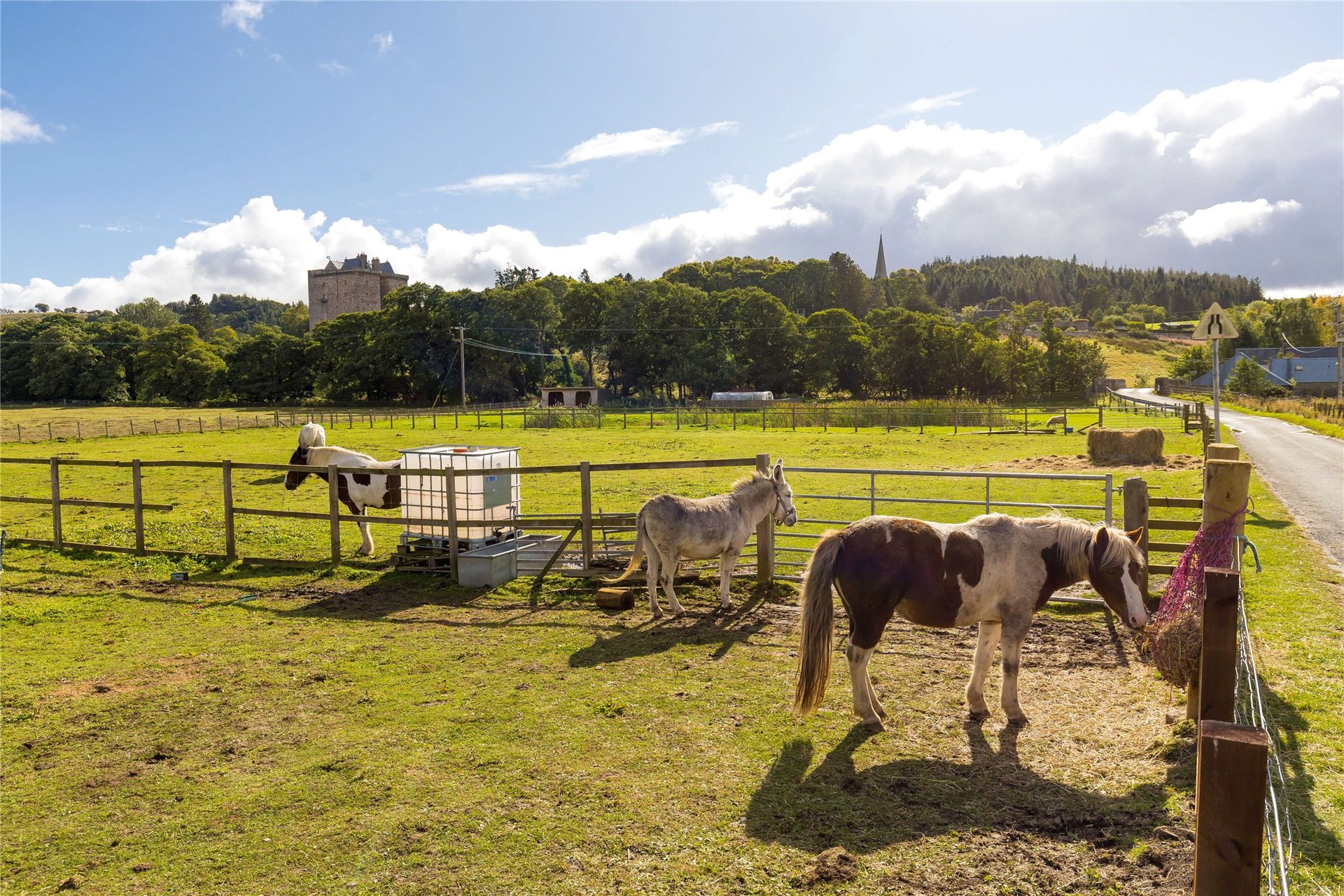 Borthwick Farmhouse, Borthwick, Midlothian, EH23 4QZ - Picture #27