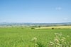 Kennel Lodge, Glentirranmuir, Kippen, Stirling, Stirlingshire, FK8 3HU - Picture #21