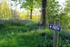 3 Rowallan Castle Golf and Country Estate, Kilmaurs, Kilmarnock, East Ayrshire, KA3 2DP - Picture #86