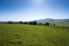 Crossridge Holding, Carmichael, Biggar, South Lanarkshire, ML12 6NG - Picture #27