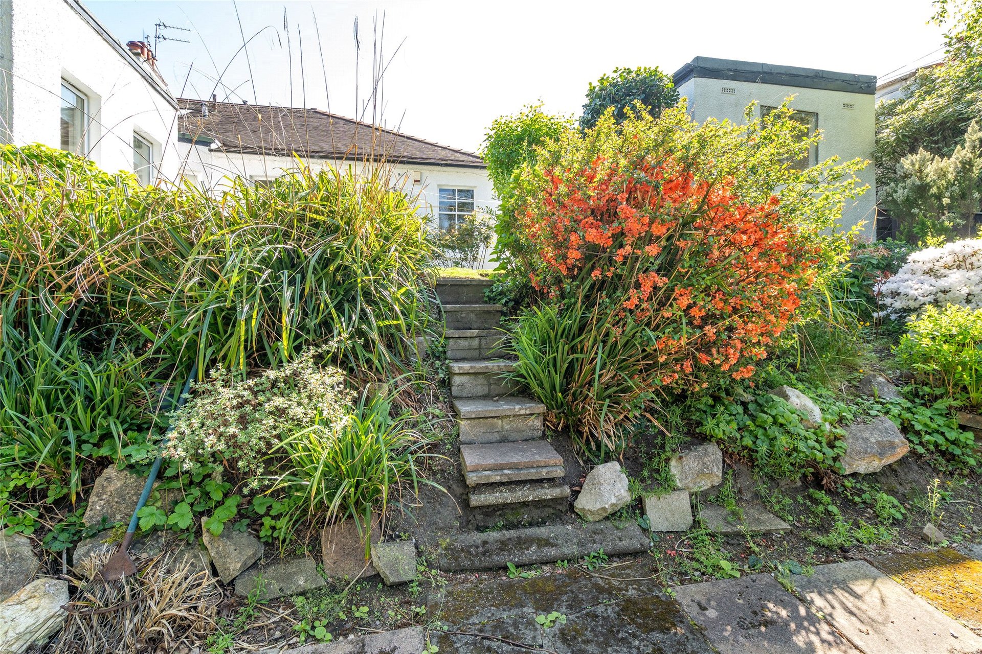 115 Cluny Gardens, Morningside, Edinburgh, EH10 6BP - Picture #35